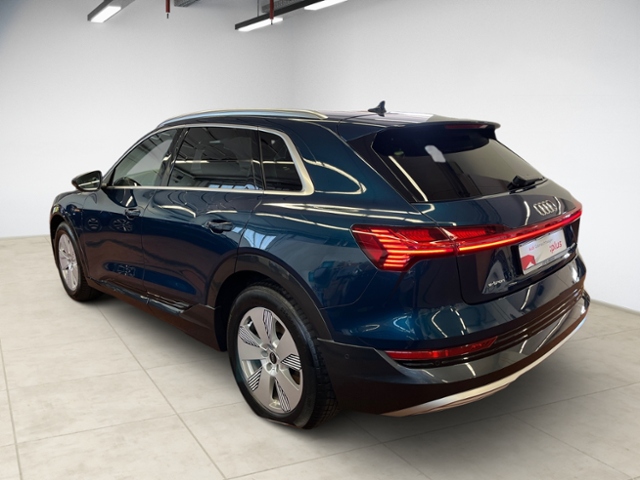 e-tron 50 quattro advanced KLIMA LED NAVI ALU